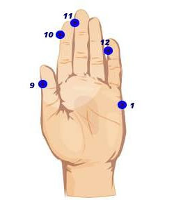 The EFT hand points